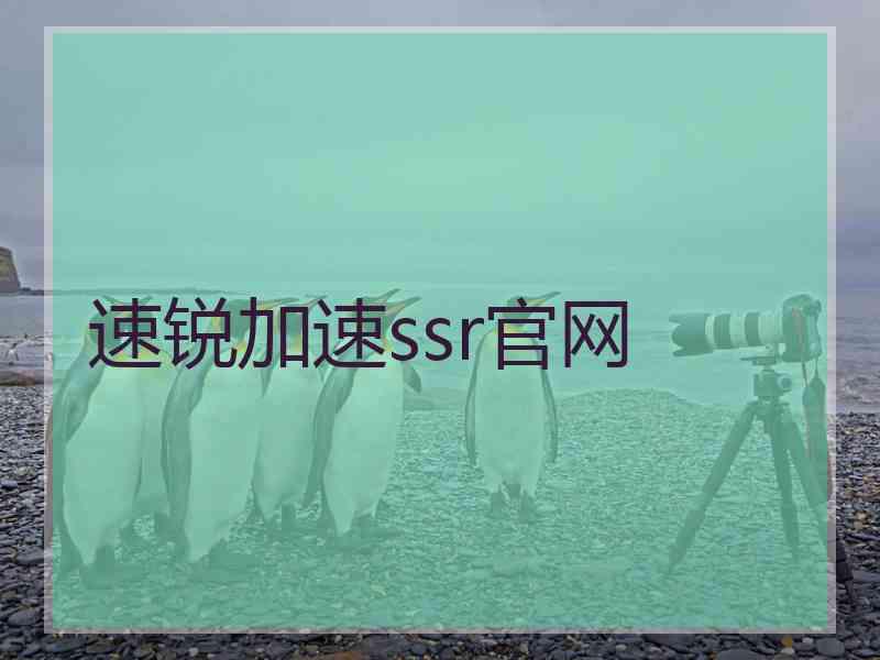 速锐加速ssr官网 速锐加速ssr官网